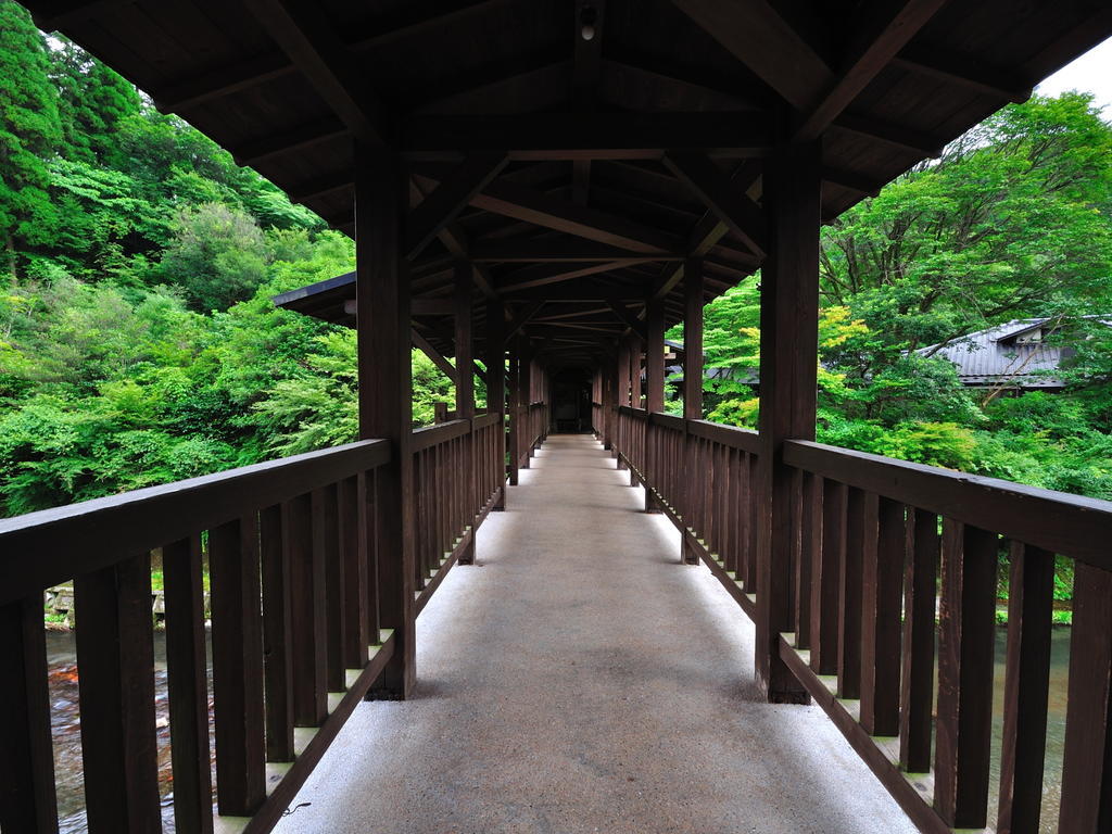 Yamabiko Ryokan Minamioguni Cameră foto